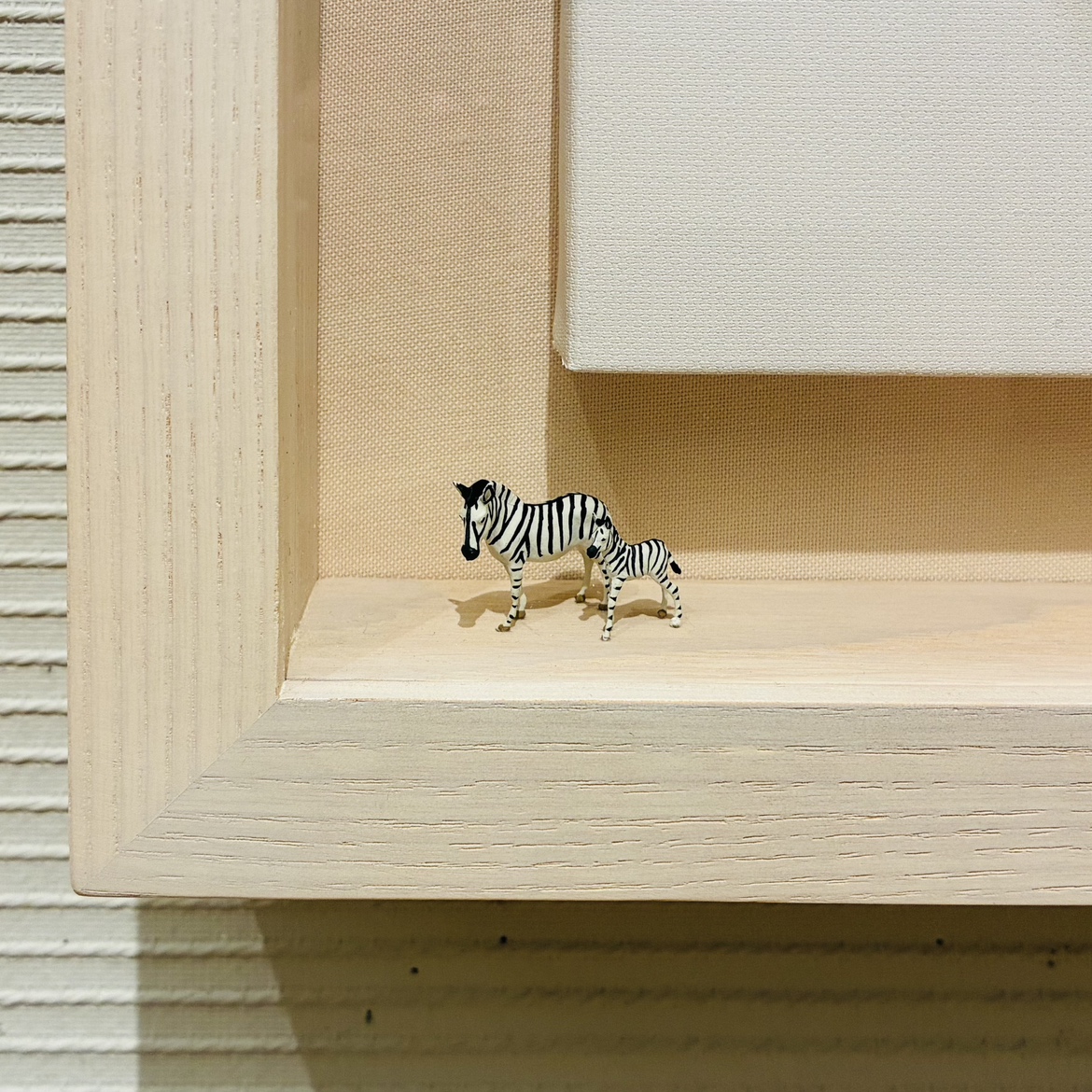 シマウマ