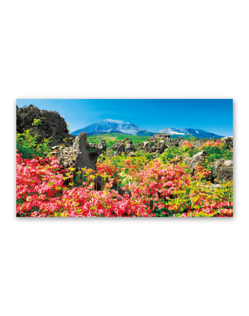 観光文字風景 Calendar Online Shop ラクトカレンダー