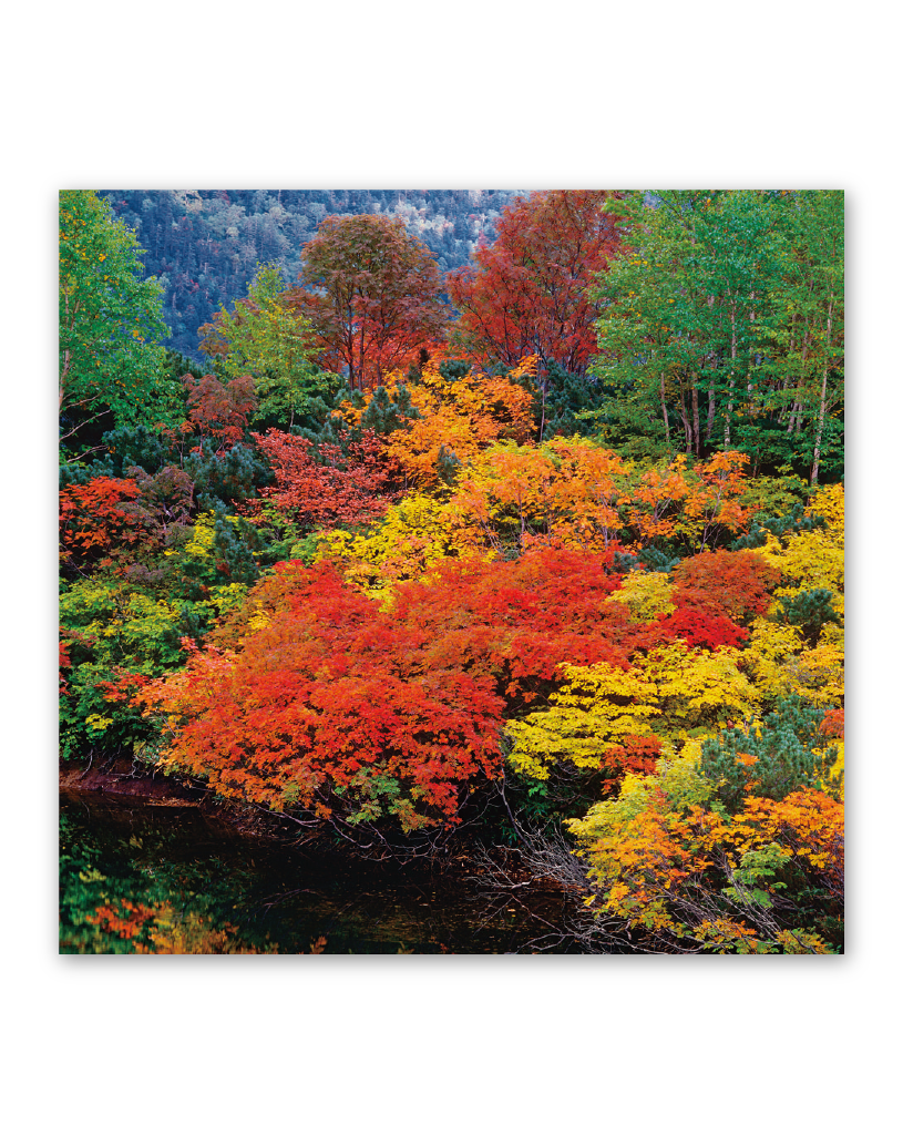 ﾌｨﾙﾑ 四季 前田真三 前田晃作品集 Calendar Online Shop ラクトカレンダー