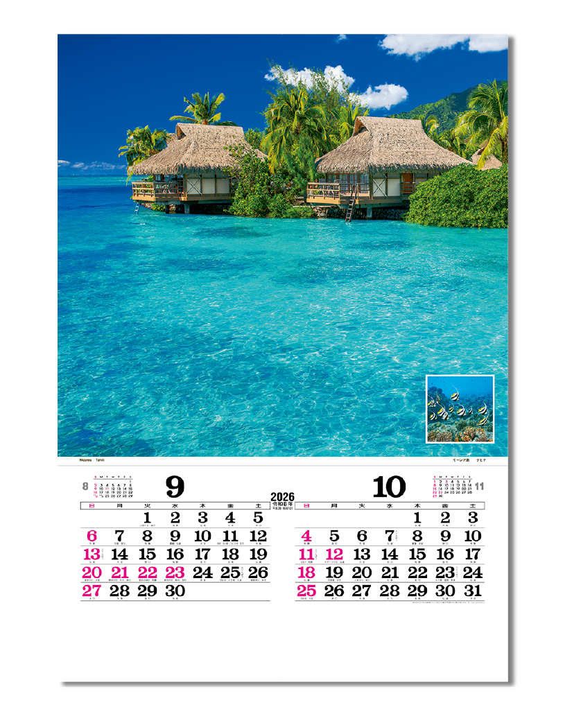 新品未使用品 Blumarine ブルマリン キャンドル ホーム コレクション 新品)WATERMAN ウォーターマン カートリッジインク セレニティ