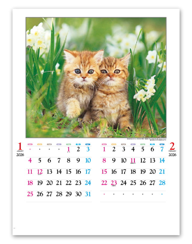 かわいい猫 Calendar Online Shop ラクトカレンダー