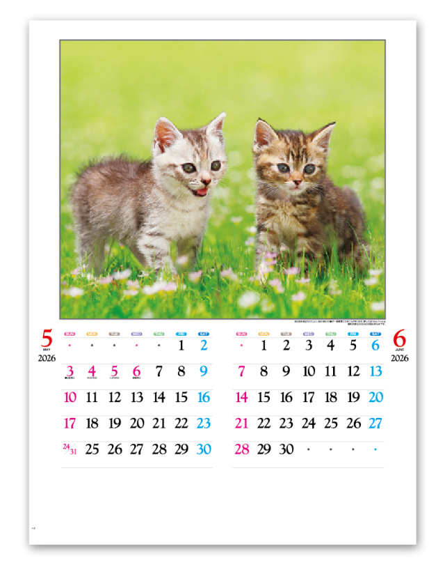 かわいい猫 Calendar Online Shop ラクトカレンダー