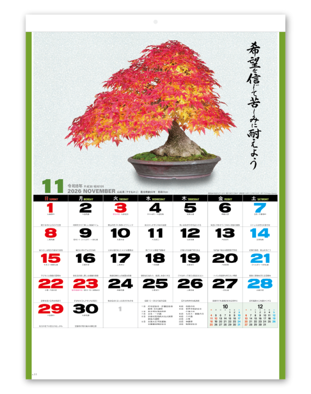 自然と盆栽 バックナンバー 自然と盆栽 バックナンバー