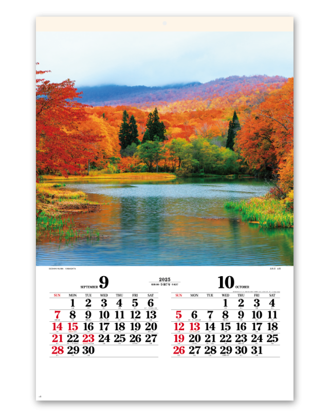 ﾌｨﾙﾑ 四季光耀｜CALENDAR ONLINE SHOP ラクトカレンダー