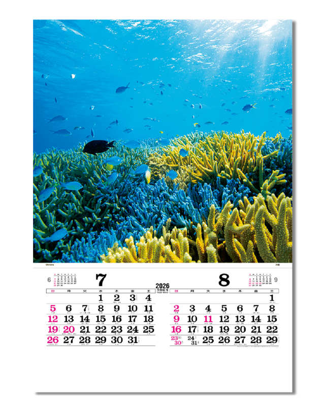 ﾌｨﾙﾑ トーハン・DX マリンブルー｜CALENDAR ONLINE SHOP ラクト